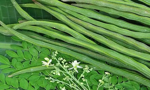 கோப்புபடம்.