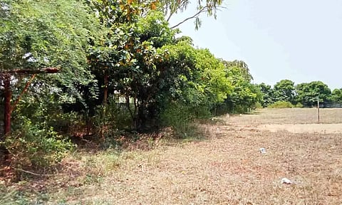 மைதானத்தைச் சுற்றிலும் புதர் மண்டி உள்ளதை படத்தில் காணலாம்.&nbsp;