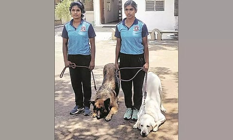 கோவையில் மோப்ப நாய்களுக்கு பயிற்சி அளித்து வரும் பெண் போலீசார் பவானி, கவிப்பிரியா.