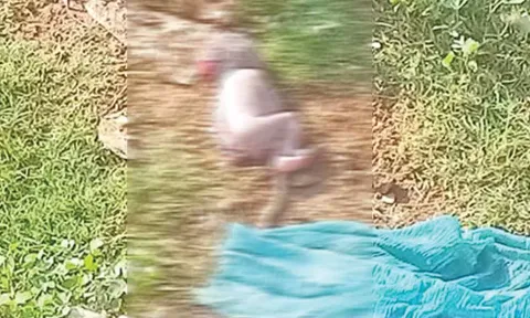 சாலையோரத்தில் வீசப்பட்ட பச்சிளம் குழந்தை உடல்.