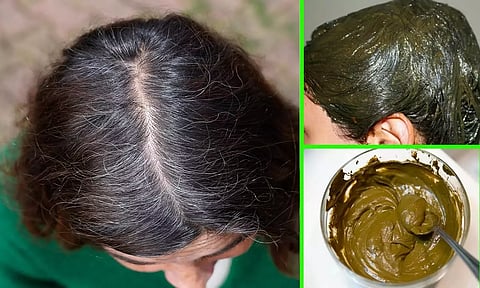 கூந்தலுக்கு பிரச்சனை வராத 5 வகையான ஹோம்மேட் ஹெர்பல் ஹேர் டை