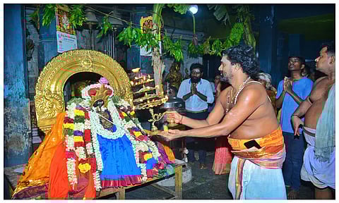 கடலூர் திருப்பாதிரிப்புலியூர் பாடலீஸ்வரர் கோவிலில் வைகாசி பெருவிழாவையொட்டி சிம்ம வாகனத்தில் பிடாரி அம்மன் வீதியுலா நடைபெற்றது.