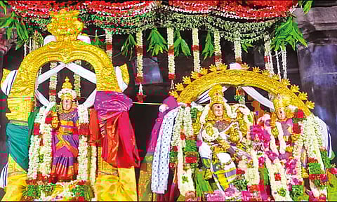 சிறப்பு அலங்காரத்தில் மீனாட்சி அம்மன், சுந்தரேசுவரர், பிரியாவிடையுடன் எழுந்தருளி இருப்பதை படத்தில் காணலாம்.