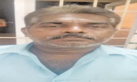 பூதப்பாண்டியில் சொத்து தகராறில் தாயை வெட்டிக்கொன்றதொழிலாளி ஜெயிலில் அடைப்பு