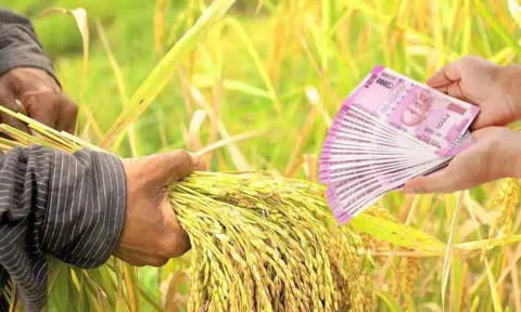 பயிர் கடன் பெற விவசாயிகளுக்கு வயது வரம்பு இல்லை