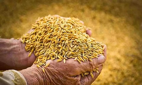 கோப்புபடம்.