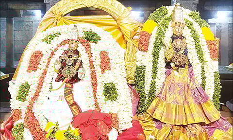 ஜம்புகேஸ்வரர், அகிலாண்டேஸ்வரி சிறப்பு அலங்காரத்தில் பக்தர்களுக்கு காட்சியளித்ததை படத்தில் காணலாம்.