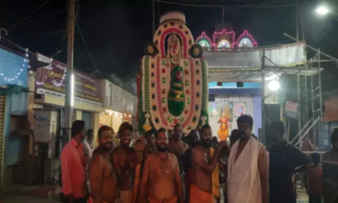 வைகாசி விசாக 2-ம் திருவிழாவையொட்டி கிளி வாகனத்தில் எழுந்தருளி பகவதி அம்மன் வீதி உலா