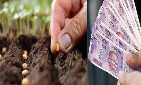 விதை பரிசோதனை செய்வதால் குறைந்த செலவில் அதிக மகசூல் பெறலாம்