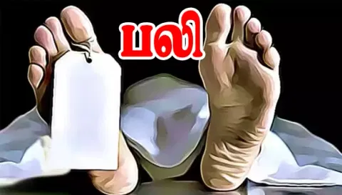 கபிலர்மலை அருகே மோட்டார் சைக்கிள்கள் மோதல்; பால் வியாபாரி பரிதாப பலி