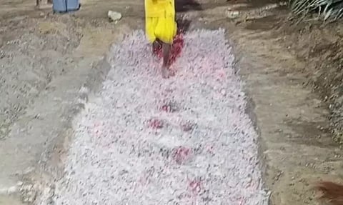 திரவுபதி அம்மன் கோவிலில் தீமிதி திருவிழா