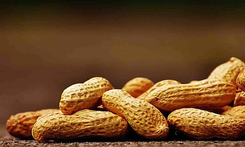 கோப்புபடம்.