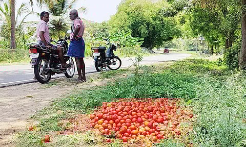 போதிய விலை கிடைக்காததால் சாலையோரம் கொட்டப்பட்டுள்ள தக்காளி பழங்கள்.