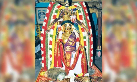 சிறப்பு அலங்காரத்தில் அருள்பாலித்த சவுரிராஜ பெருமாள்.