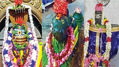 கோப்பணம் பாளையம் பரமேஸ்வரர், நந்தி பெருமாளுக்கு சிறப்பு அலங்காரமும், பரமத்திவேலூர் எல்லையம்மன் ஆலயத்தில் உள்ள ஏகாம்பரநாதருக்கு தாரா பாத்திரம் மூலம் தொடந்து நீர் சொரியும் அலங்காரமும் செய்யப்பட்டிருந்ததை படத்தில் காணலாம்.
