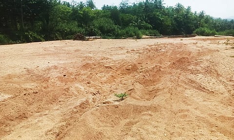 மூலவைகையாற்றில் மணல் அள்ளப்பட்டுள்ளதால் ஏற்பட்டுள்ள பள்ளங்கள்.