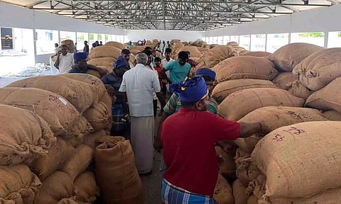 &nbsp;சூரியகாந்தி விதை ஏலம் நடைபெற்ற காட்சி.