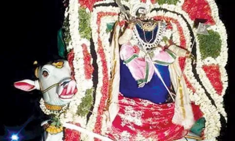 காமதேனு வாகனத்தில் முருகன் வீதி உலா நடைபெற்றது.