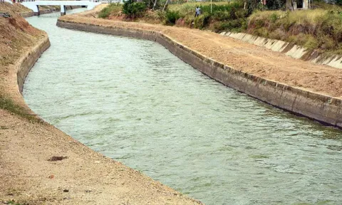 காளிங்கராயன் வாய்க்கால்  பராமரிப்பு பணிகள் ஓரிரு நாளில் தொடங்கப்படும்