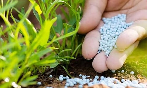 ேவளாண் கூட்டுறவு கடன் சங்கங்களில் 6,512 டன் உரங்கள் இருப்பு