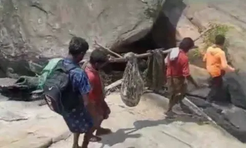 தொட்டில் கட்டி நோயாளியை தூக்கிச்செல்லும் மலைவாழ் மக்கள்.&nbsp;