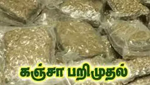கஞ்சா கடத்திய சமையல்காரர் பிடிபட்டார்