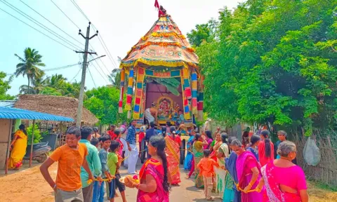 சவுரிராஜபெருமாள் கோவிலில் தேரோட்டம் நடந்தது.