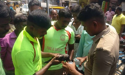 திருவொற்றியூரில் மாஞ்சா நூலில் சிக்கிய காகத்தை மீட்ட தீயணைப்பு வீரர்கள்