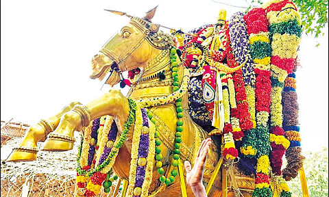 எமனேசுவரம் வரதராஜப்பெருமாள் கோவில் வைகாசி வசந்த உற்சவம்