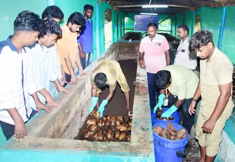 உரம் தயாரிக்கும் பணி நடைபெறுவதை படத்தில் காணலாம்.