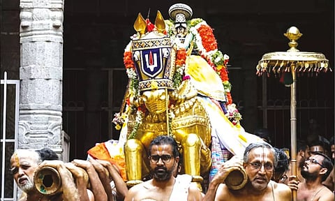 நம்பெருமாள் தங்க குதிரை வாகனத்தில் சித்திரை வீதிகளில் உலா வந்தபோது எடுத்த படம்.