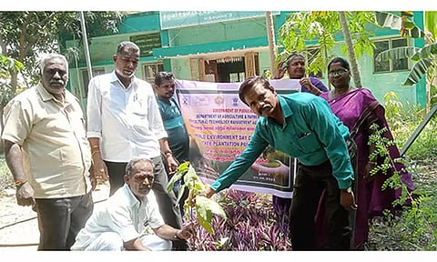 &nbsp;மரக்கன்றுகள் நடும் காட்சி