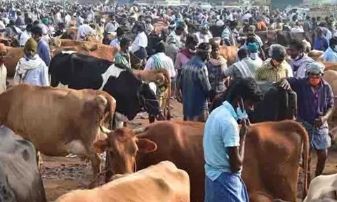 கோப்புபடம்.