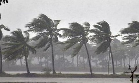 சூறைக்காற்று மழையால் பாதிப்பு