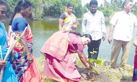 மரக்கன்றுகள் நடப்பட்டது.