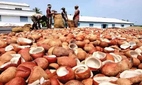 கோப்புபடம்.