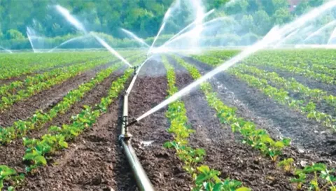 கபிலர்மலை வட்டாரத்தில் நுண்ணீர் பாசனம் அமைத்திட மானியம்