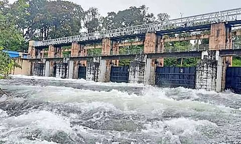பேச்சிபாறை, பெருஞ்சாணி அணையில் இருந்து 798 கனஅடி தண்ணீர் வெளியேற்றம்