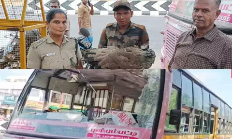கண்ணாடி உடைந்த அரசு பஸ்ஸையும், பஸ் மீது மோதிய மயிலையும் படத்தில் காணலாம்.