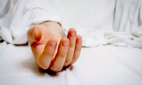 சரக்கு வேன் மோதி சிறுவன் சாவு