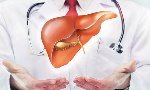 அதிக வெப்பம் தாக்கினால் இதயம், கல்லீரல் பாதிக்கப்படும்- கவனமாக இருக்க டாக்டர்கள் அறிவுறுத்தல்