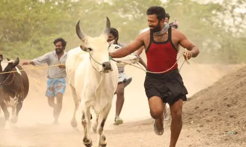 சர்வதேச விருதுகளை வென்ற இராவண கோட்டம் திரைப்படம்