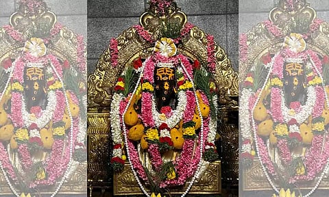 சிறப்பு அலங்காரத்தில் பக்தர்களுக்கு சுவாமி காட்சி அளித்தார்.