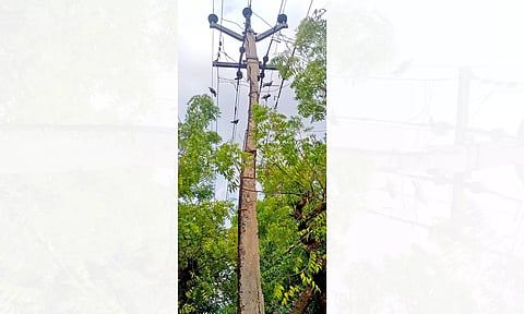 சேதமடைந்து விழும் நிலையில் உள்ள மின்கம்பம்