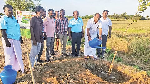 ஆழ்வார்திருநகரி- நாசரேத்- சாத்தான்குளம் நெடுஞ்சாலையில் ஆழ்வார்திருநகரி ஊராட்சி ஒன்றிய சேர்மன் ஜனகர் மரக்கன்றுகளை நட்ட போது எடுத்த படம். அருகில் உதவி கோட்ட பொறியாளர் விஜய் சுரேஷ் குமார் உள்ளார்.