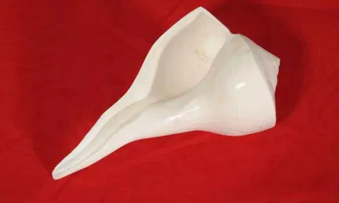 வரத்து குறைவால் நலிந்து போன சங்கு தொழில்