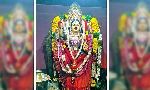 சிவகிரி அருகே காளியம்மன் கோவிலில் வருசாபிஷேகம்