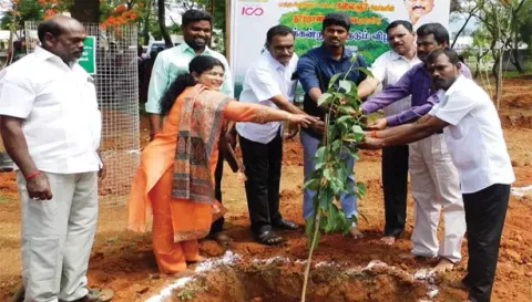 காரிப்பட்டி ஆய்வு மாளிகை வளாகத்தில் நடைபெற்ற மரக்கன்றுகள் நடும் விழா