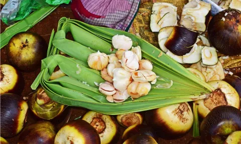 நீரிழிவு நோயாளிகள் நுங்கு சாப்பிடலாமா?