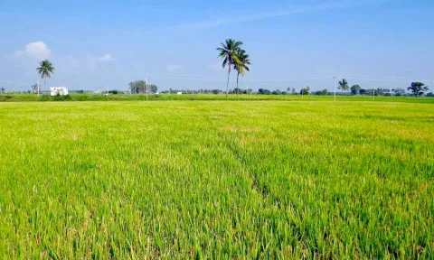 வேளாண் அடுக்கு திட்டத்தில் பயன்பெற ஆன்லைன் மூலம் விபரங்களை பதிவு செய்ய வேண்டும்